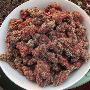 red dragon weed strain